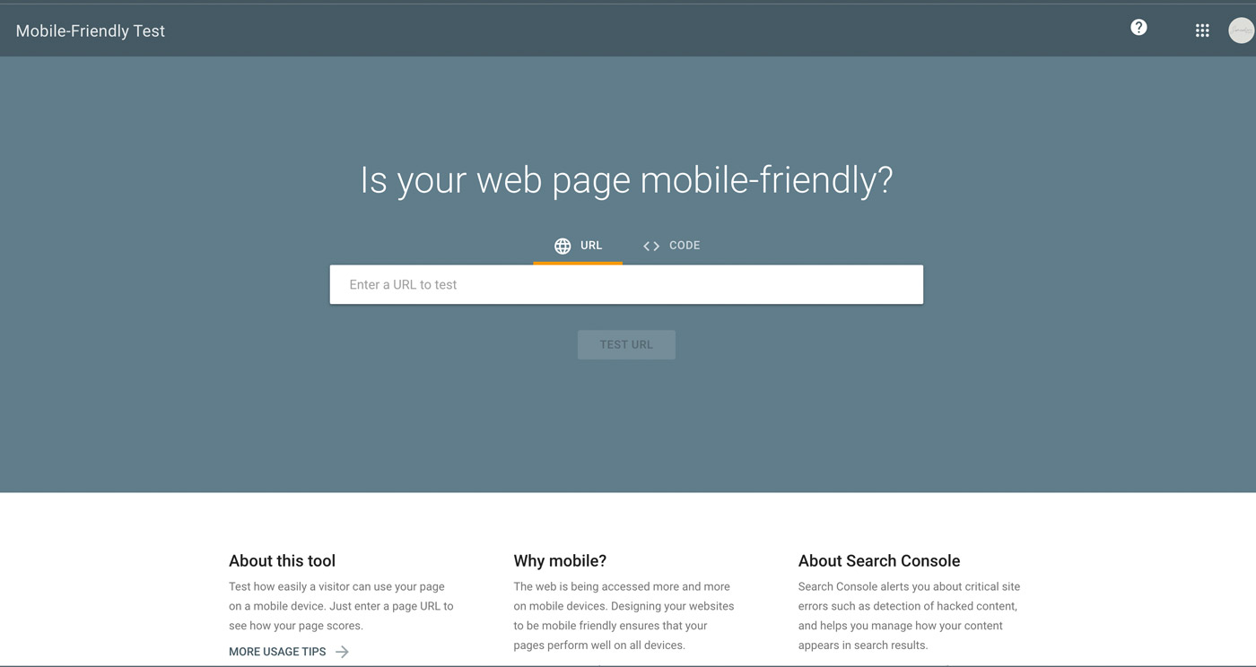 Google's SEO mobile friendly testing tool